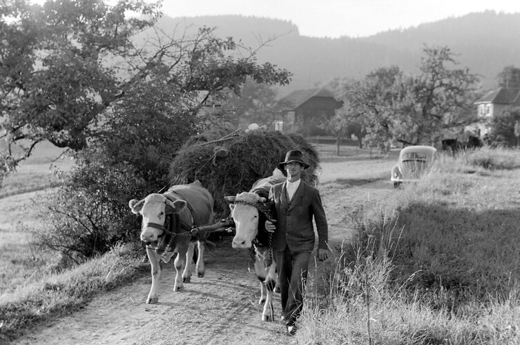 Begegnung auf der Bockaustraße