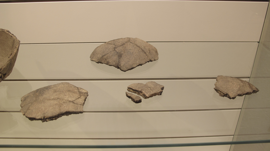 Tonscherben | © Mühlviertler Schlossmuseum