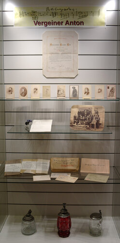 Anton Vergeiner (1858–1901)