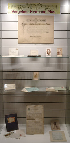 Hermann Pius Vergeiner (1859-1900)