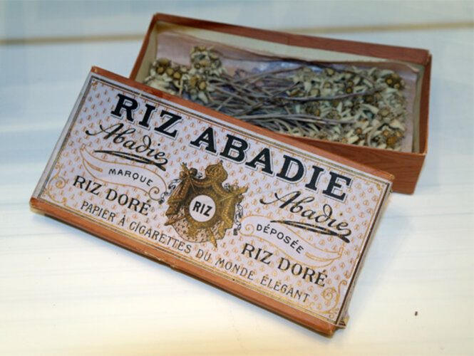 Getrocknetes Edelweiß | © Foto: Verbund Oö. Museen