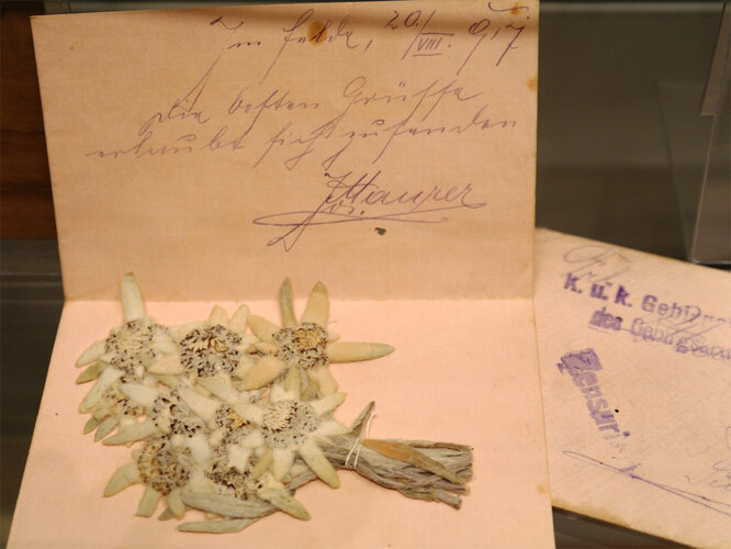 Postkarte | © Mühlviertler Schlossmuseum - Foto: Verbund Oö. Museen