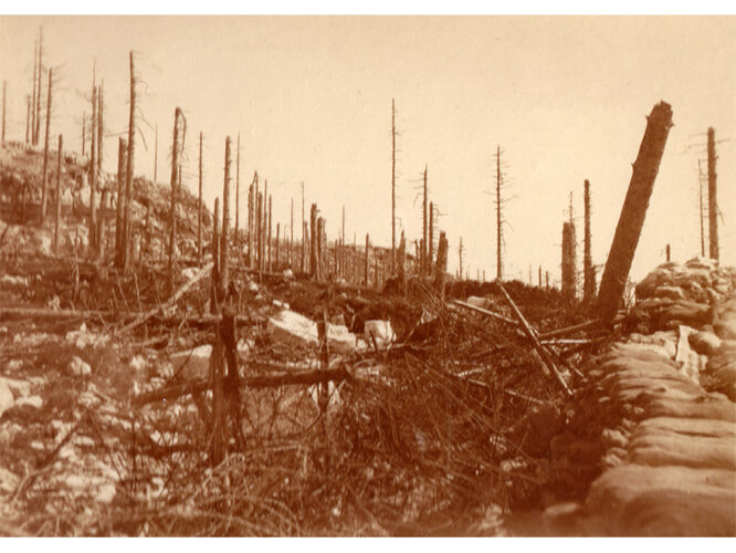 Italienische Stellung | © Mühlviertler Schlossmuseum
