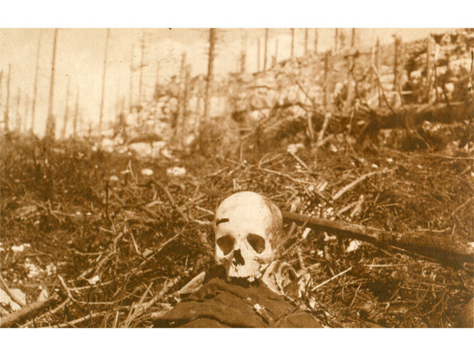 Totenschädel eines Gefallenen | © Mühlviertler Schlossmuseum