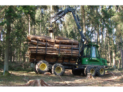 Holztransport zum Sammelplatz