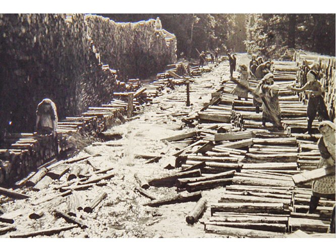 Holztransport in größeren Mengen