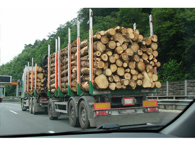 Holztransport in größeren Mengen