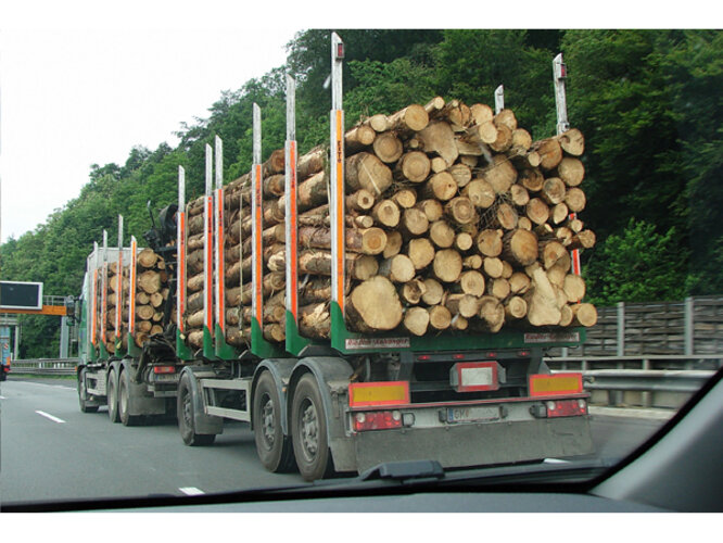 Holztransport in größeren Mengen
