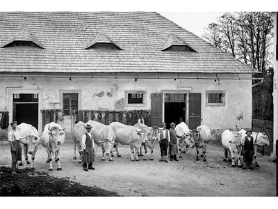 Zugkraft für die Landwirtschaft