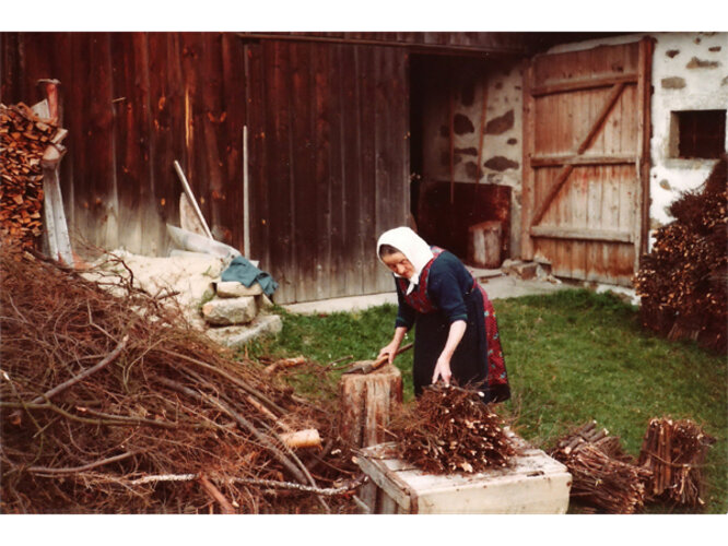 Brennholzaufbereitung