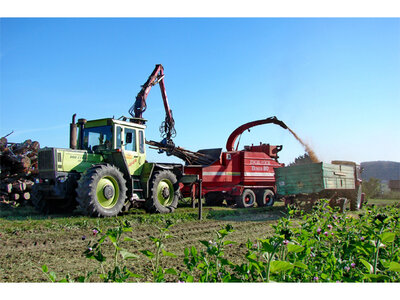 Brennholzaufbereitung