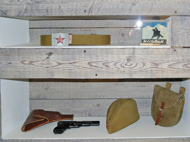 Vitrinenansicht: "Die russischen Truppen"