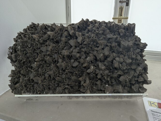 Gipskristalle (künstlich “gezüchtet”) | © Foto: K-Hof Kammerhof Museum Gmunden