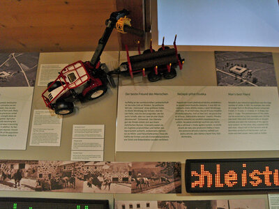 Der beste Freund des Menschen