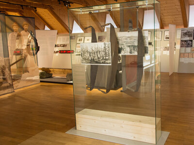 Waldbilder und Sägeblätter | © Flora Kainmüller