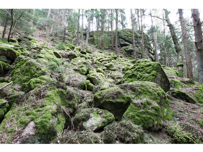 Burgstall Turnertobel | © Thomas Hackl