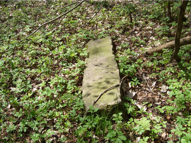 Wüstung Hořipná /Hurschippen | © Fritz Fellner