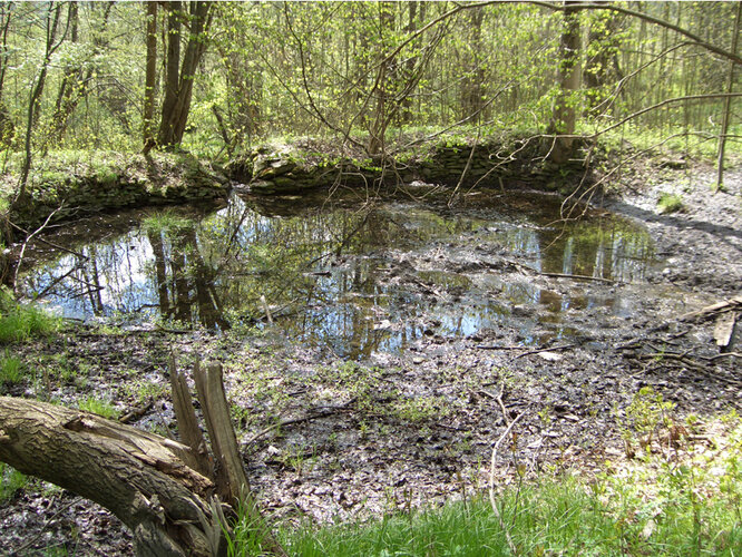 Wüstung Hořipná /Hurschippen | © Fritz Fellner