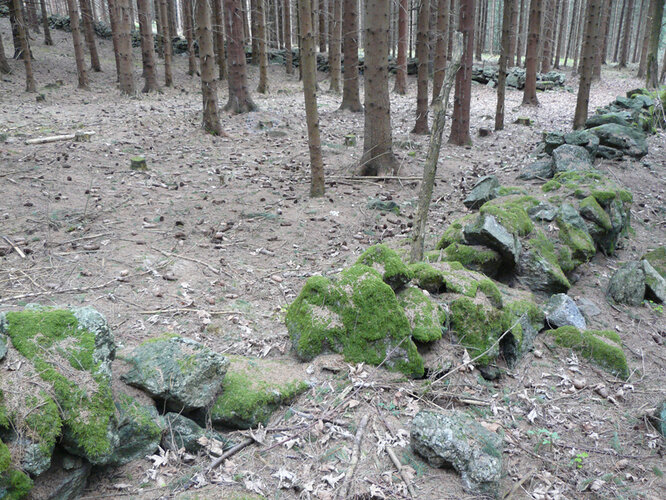 "Eingemauertes Wiesel" | © Hubert Roiß