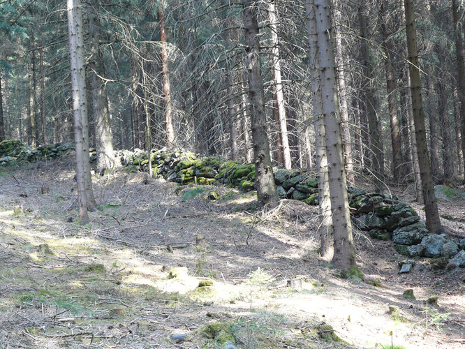 "Eingemauertes Wiesel"  | © Hubert Roiß