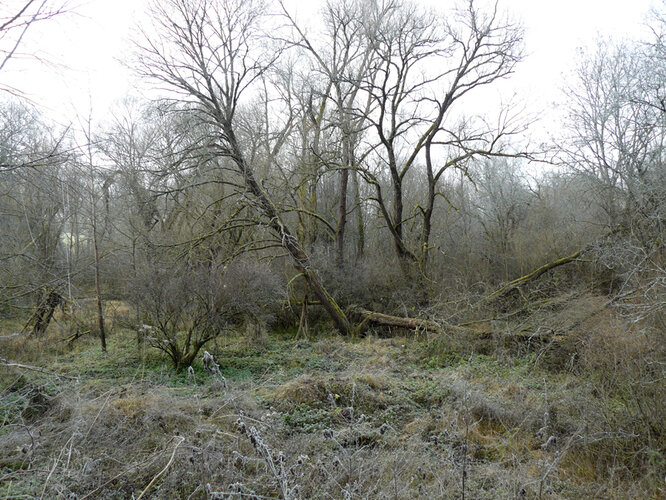 Wüstung Cetviny/Zettwing | © Hubert Roiß