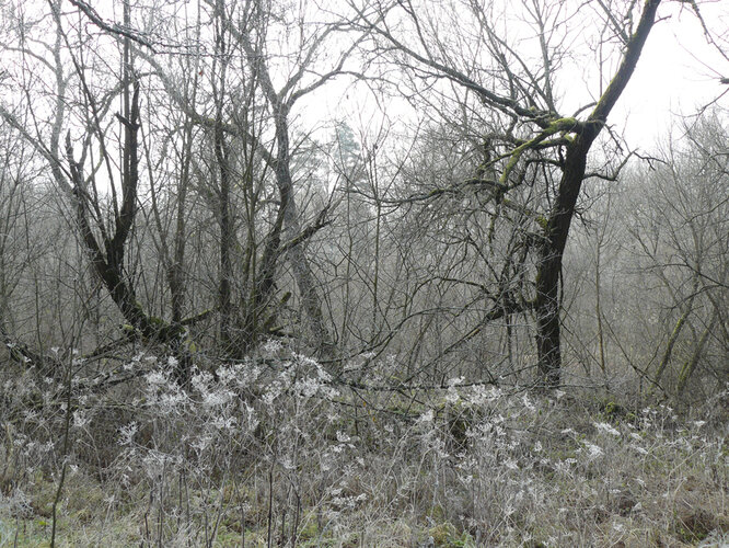 Wüstung Cetviny/Zettwing | © Hubert Roiß