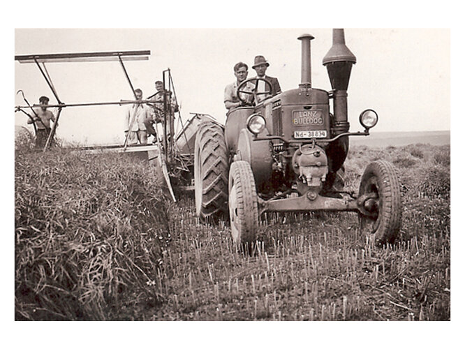 Gummibulldog | © Landw.-Ing. Erich Nachtmann