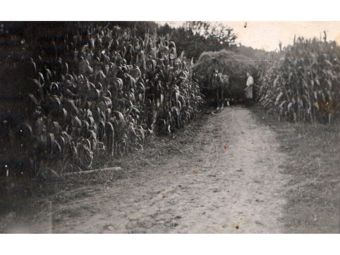 Futter für den besten Freund