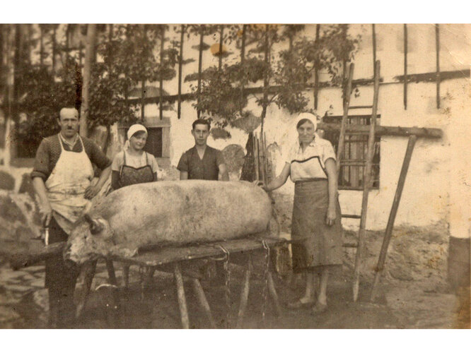 Borstenvieh und Schweinespeck