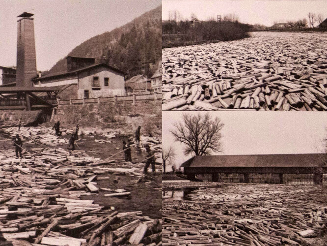 Holzschwemme auf der Aist