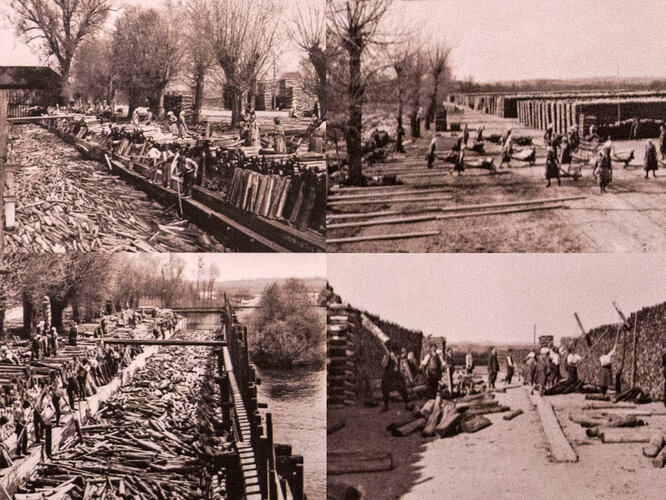 Holzschwemme auf der Aist