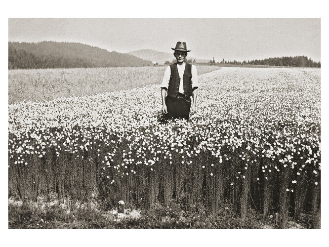 Prozess der Flachsverarbeitung