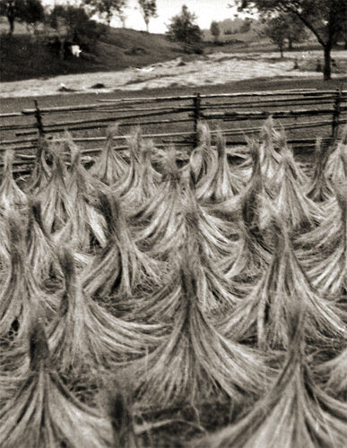 3. Retzen – „Gipfen“