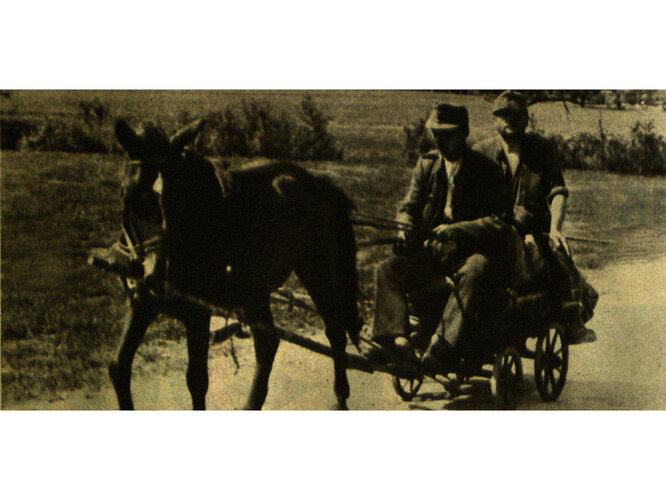 Auf dem Weg in die Heimat