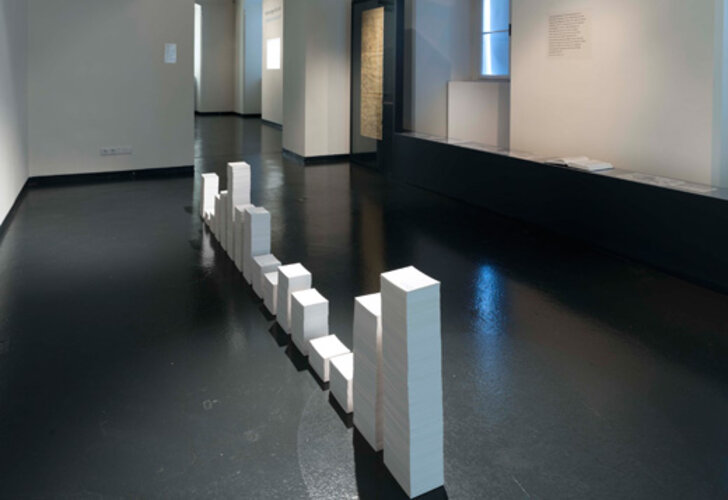 "Feld 2008/2012" | © NORDICO. Stadtmuseum Linz, Foto: Norbert Artner