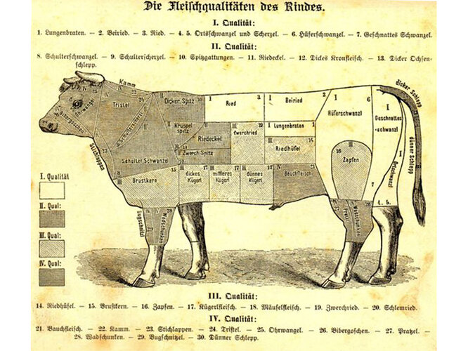 Die Fleischqualitäten des Rindes | © Hannes Etzlstorfer