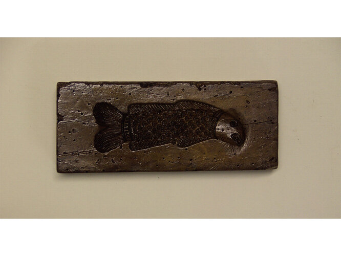 Fischmodel | © Stadtmuseen Wels