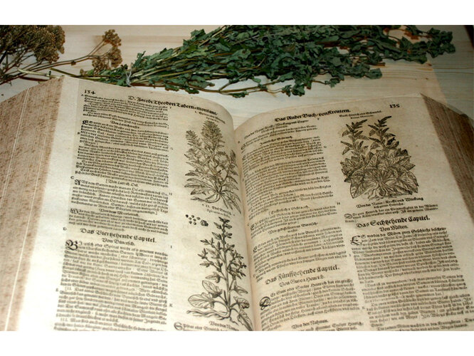 "Neuw vollkommentlich Kreuterbuch" | © Prämonstratenserstift Schlägl