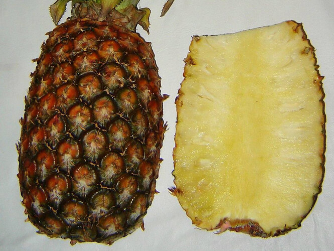 Ananas | © GNU Free Documentation License