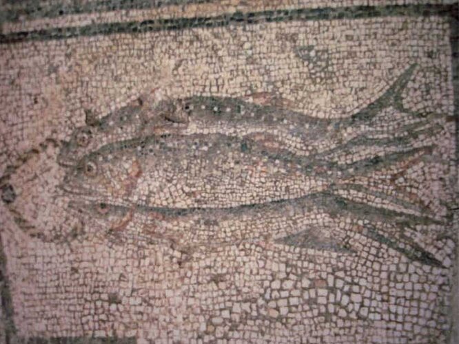 Mosaik - Darstellung von Makrelen | © Nordico. Museum der Stadt Linz