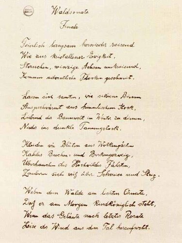 „Waldsonate“ | © StifterHaus Linz