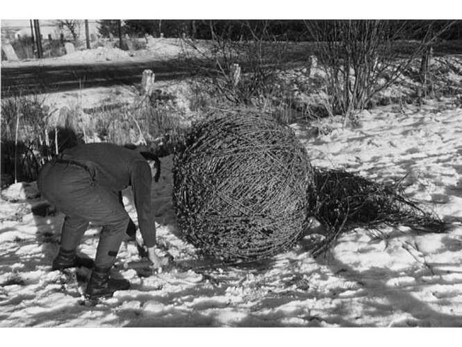 Abtransport des Stacheldrahtes