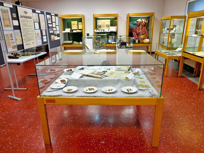 Sammelaktionen | © Foto: Verbund Oö. Museen