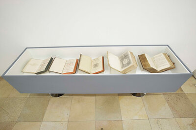 Blick in die Ausstellung. | © OÖ. Landesmuseen / Ernst Grilnberger