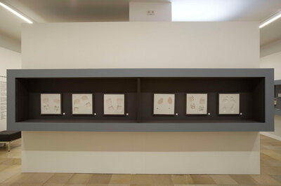 Blick in die Ausstellung | © © Oö. Landesmuseen/Ernst Grilnberger