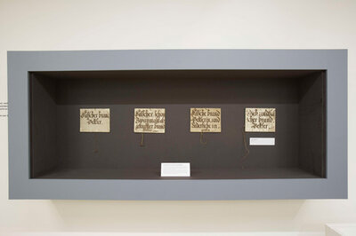 Blick in die Ausstellung: Schandtafeln | © © Oö. Landesmuseen/Ernst Grilnberger