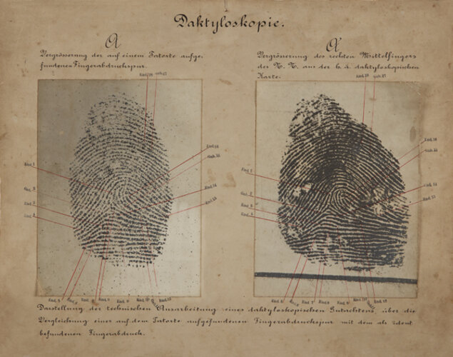 Tafel zur "Daktyloskopie oder Fingerschau" | © Kriminalmuseum Graz, Foto: OÖ. Landesmuseen, Ernst Grilnberger