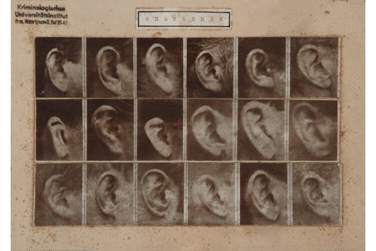 Ohrformen | © Kriminalmuseum Graz, Foto: OÖ. Landesmuseen, Ernst Grilnberger
