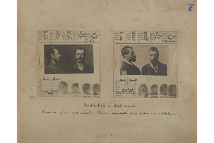 Schautafel "Ähnlich oder unähnlich" | © Kriminalmuseum Graz, Foto: OÖ. Landesmuseen, Ernst Grilnberger