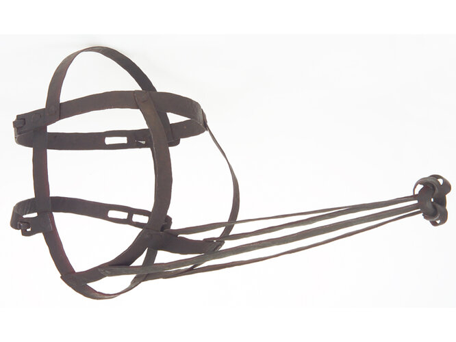 Schandmaske oder Saurüssel | © OÖ. Landesmuseen, Foto: Ernst Grilnberger